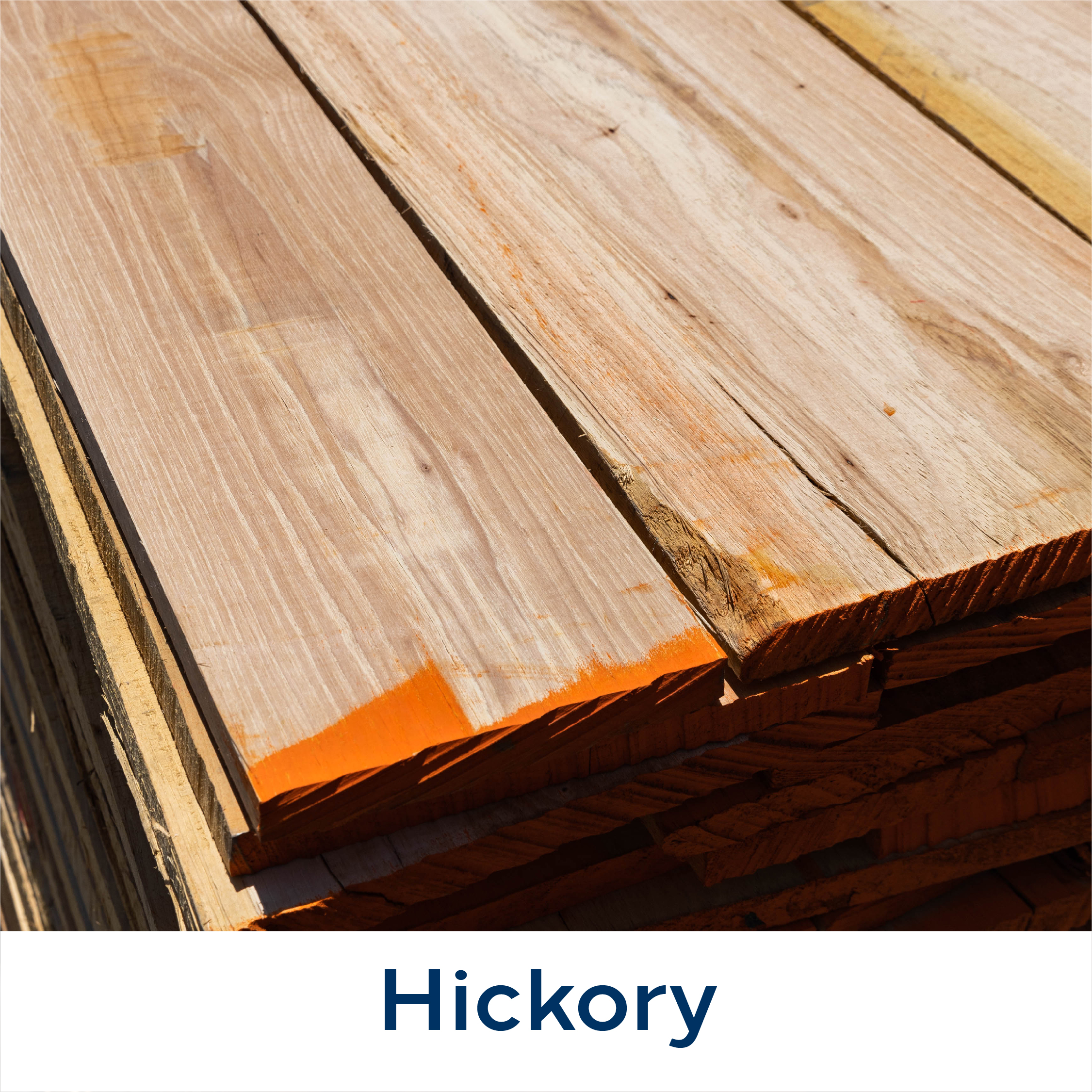 Hickory
