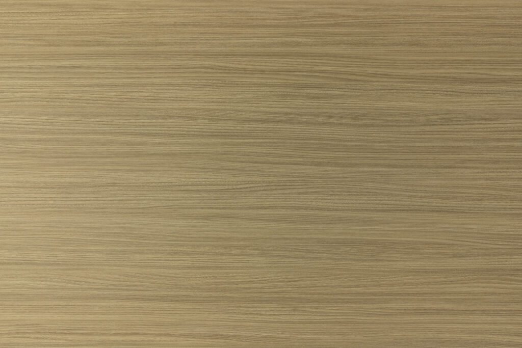 M09 Olmo Foresta