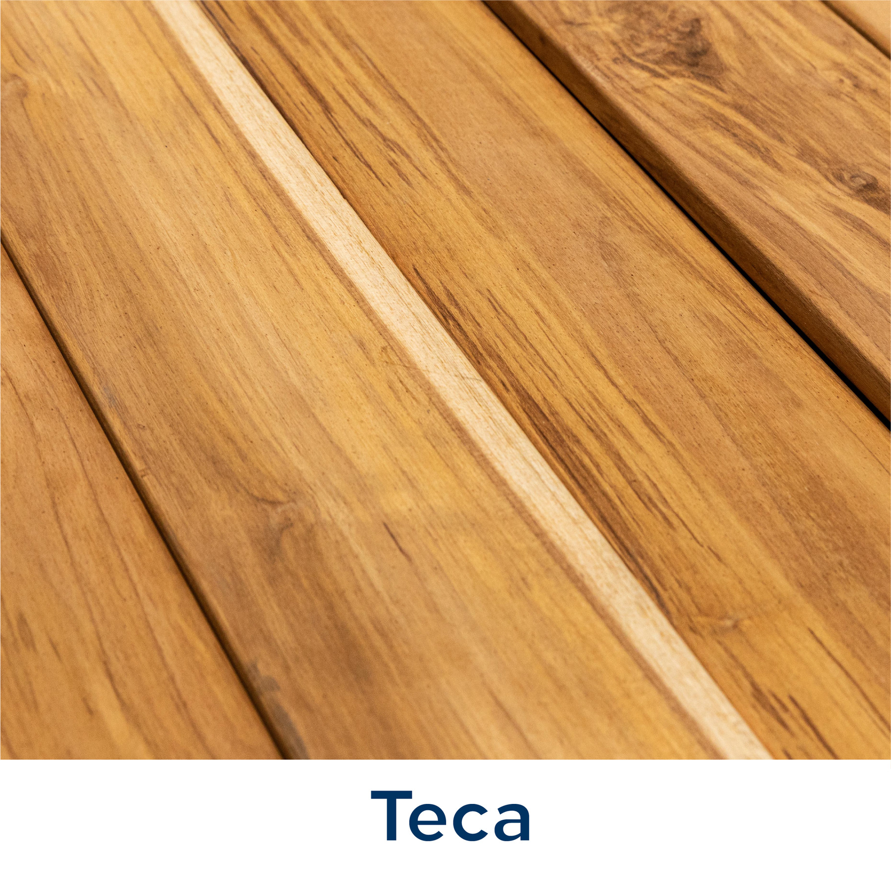 Teca