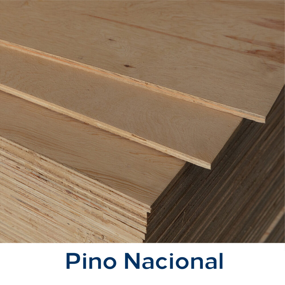 Pino Nacional