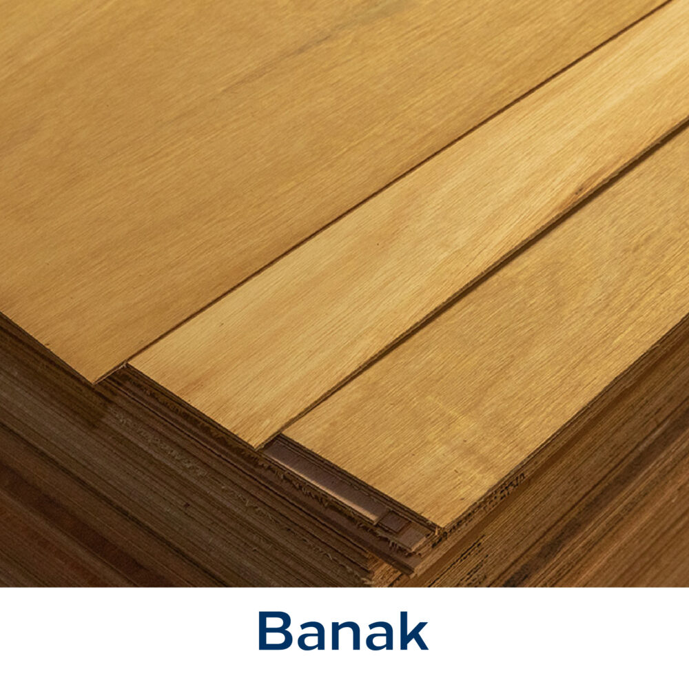 Banak